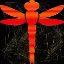 dragonfly orange