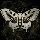 Butterfly silver