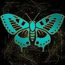 Butterfly teal 