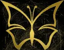 gold butterfly