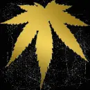gold weed black