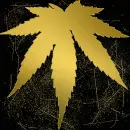 gold weed gold