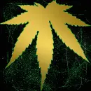 gold weed green