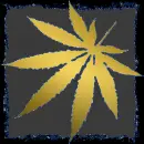 gold weed