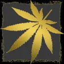 gold weed