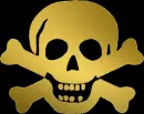 golden skull