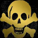 Gold Skull