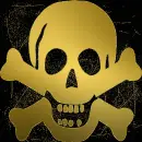 Gold Skull