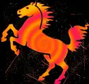 horse orange magenta swirl orange