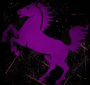 horse purple pink