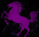 horse purple purple