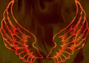 angelwings