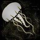 jellyfish silver gold