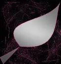 leaf silver pink