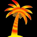 palm
