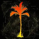 palm