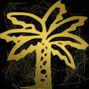 palm