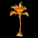palm