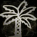 palm