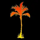 palm