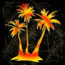 palms