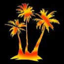 palms
