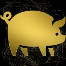 pig gold