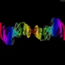 rainbow smoke gold