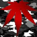 red weed camo black