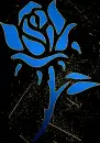 rose blue gold
