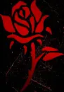 rose red red
