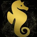 seahorse gold gold