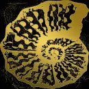 seashell swirl gold gold