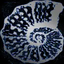seashell swirl silver blue