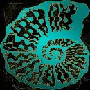 Seashell swirl teal gold