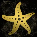 seastar gold gold