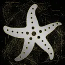 seastar silver gold