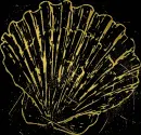 shell gold gold