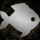 silver fish gold
