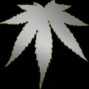 silver weed gold