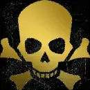 skull gold black