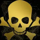 skull gold gold