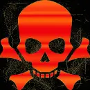skull orange swift gold