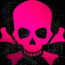 skull pink black
