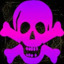 Skull pink purple gold