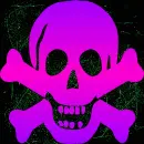 skull pink purple green
