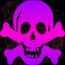 Skull pink purple pink