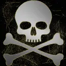 skull silver gold