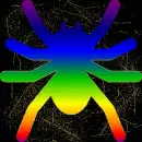 spider colorful gold