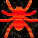 spider orange swift gold